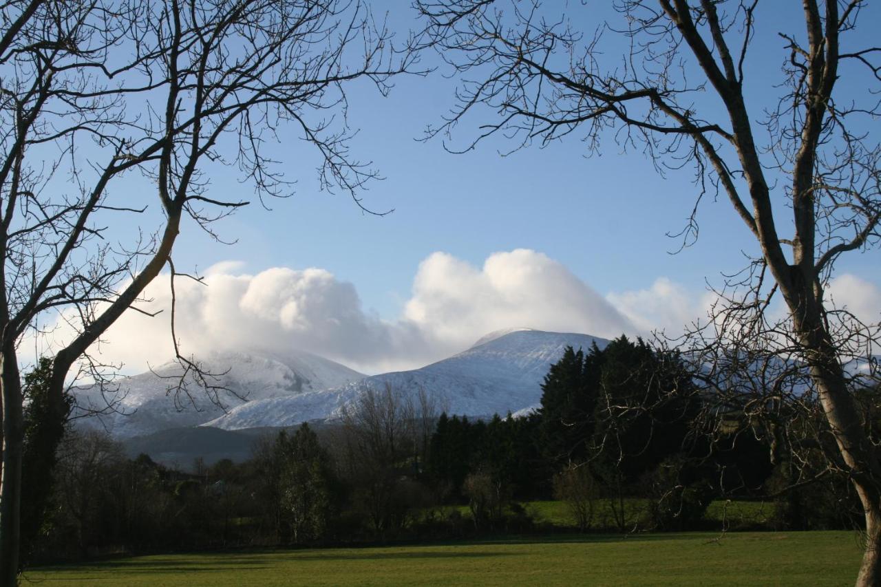 Tuck Mill Cottage Castlewellan Exterior photo